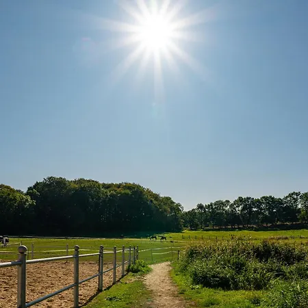 Ferien Und Pferdehof Gut Klein Nienhagen דירה *