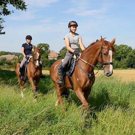 דירה Ferien Und Pferdehof Gut Klein Nienhagen *