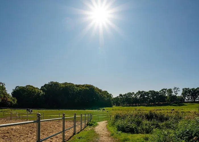 Ferien Und Pferdehof Gut Klein Nienhagen Apartament *